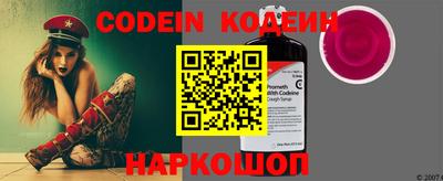 гашик Моздок