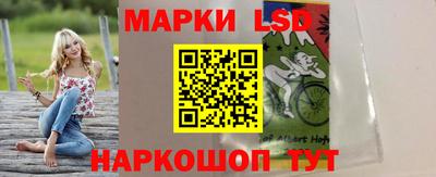 гашик Моздок