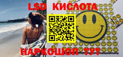 гашик Моздок