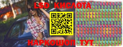 гашик Моздок