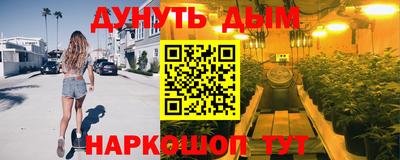 гашик Моздок