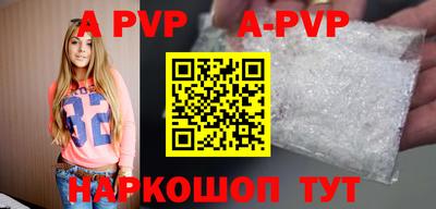 гашик Моздок