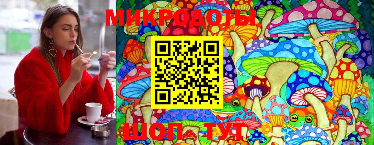 Псилоцибиновые грибы Psilocybe  Вход с VPN  Якутск  Псилоцибиновые грибы Magic Shrooms 